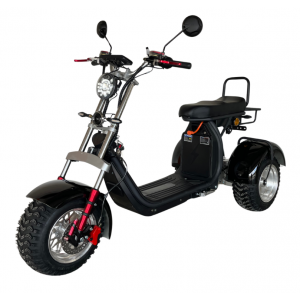 Elektrinis Triratis CP-7 off-road, 4000 W, Li-ion, EEC